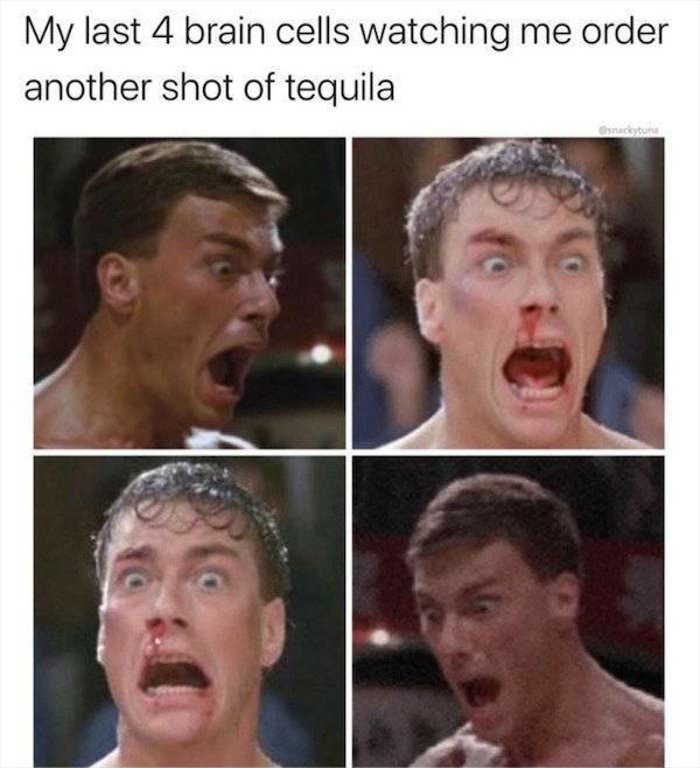 the last 4 braincells