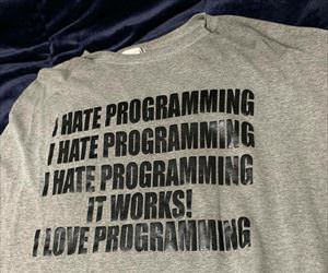 the life of a programmer
