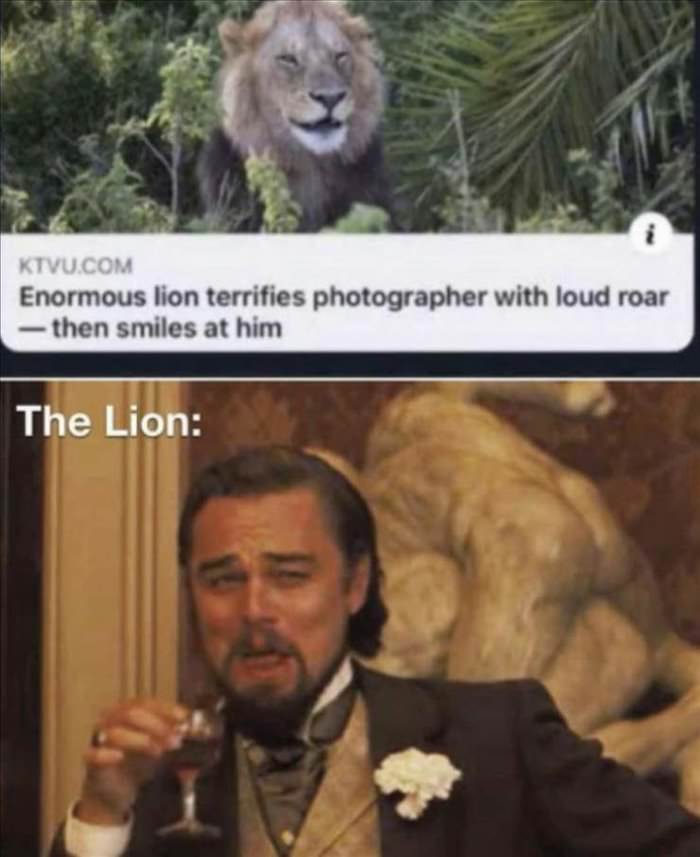 the lion