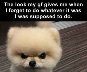 the look she gives me