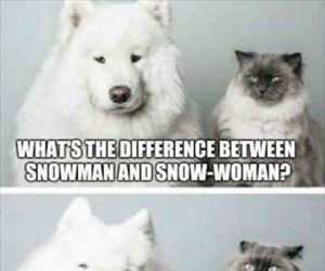 the main difference ... 2