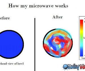 The Microwave funny picture