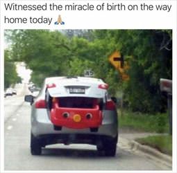 the miracle of birth ... 2