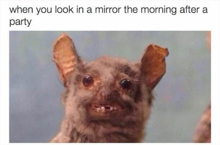 the morning after a party