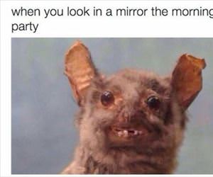 the morning after a party