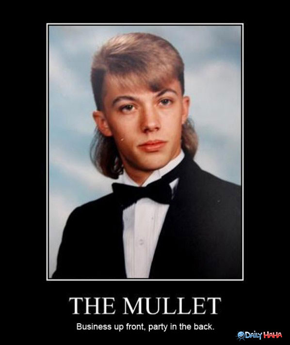 The Mullet funny picture