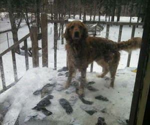 the mystery of socks