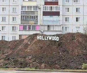 the new hollywood
