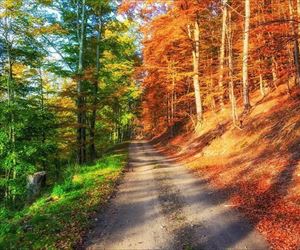 the other side of the fence