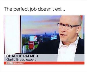 the perfect job