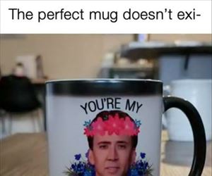 the perfect mug