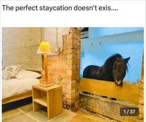 the perfect staycation