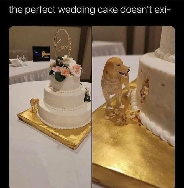 the perfect wedding cake