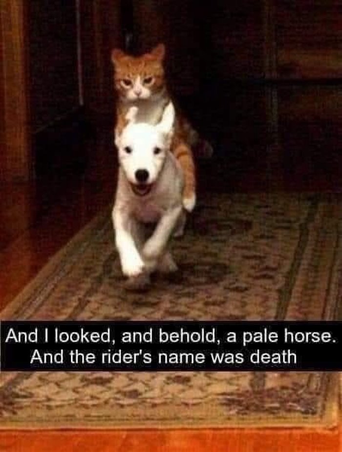 the riders name