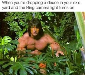 the ring camera light