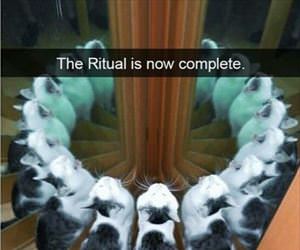 the ritual is complete ... 2