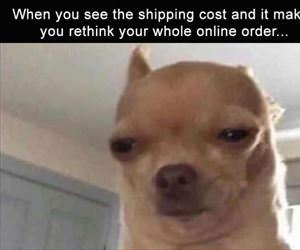 the shipping cost