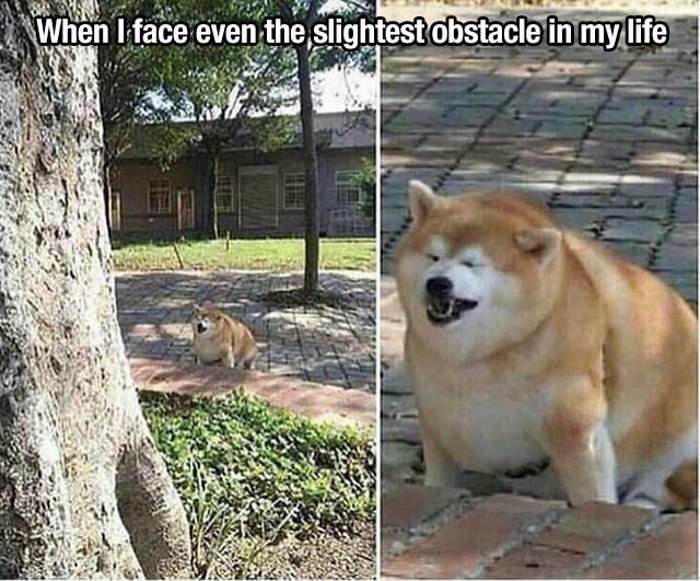 the slightest obstacle