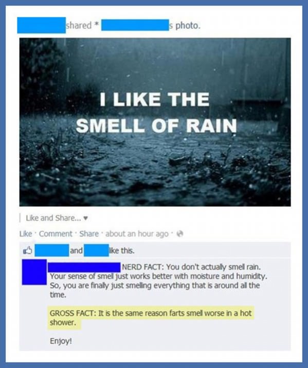 The Smell of Rain funny picture