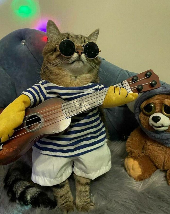 the song of my people