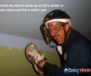 The Spider Killer funny picture