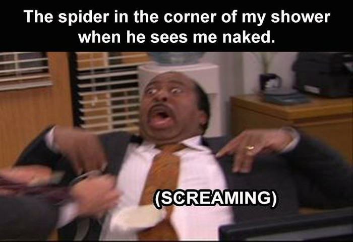 the spider ... 2