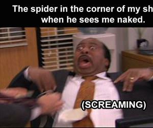 the spider ... 2