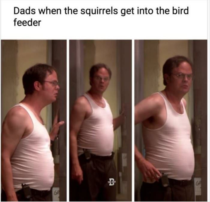 the squirrel gets there