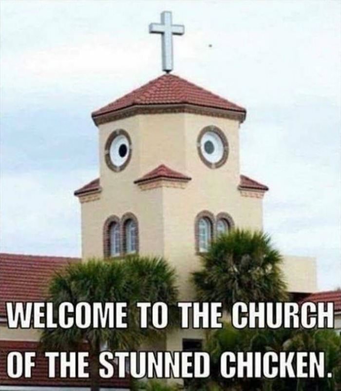 the stunned chicken