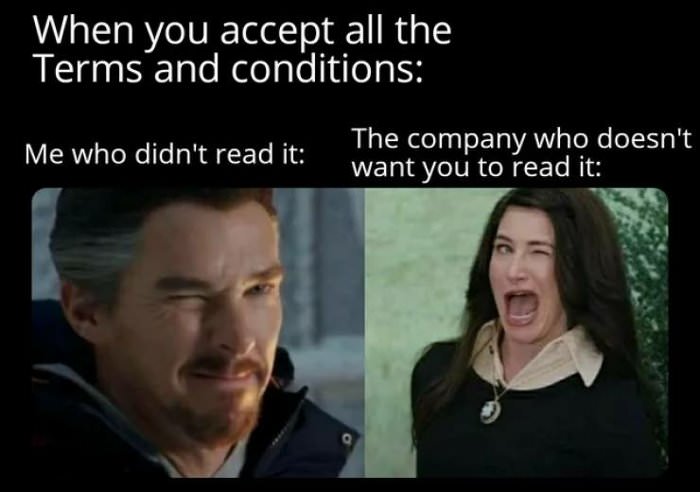 the terms and conditions