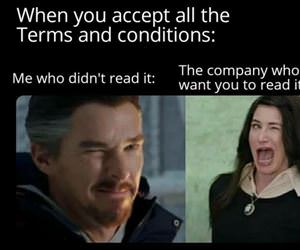 the terms and conditions