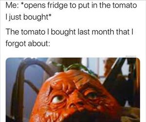 the tomato