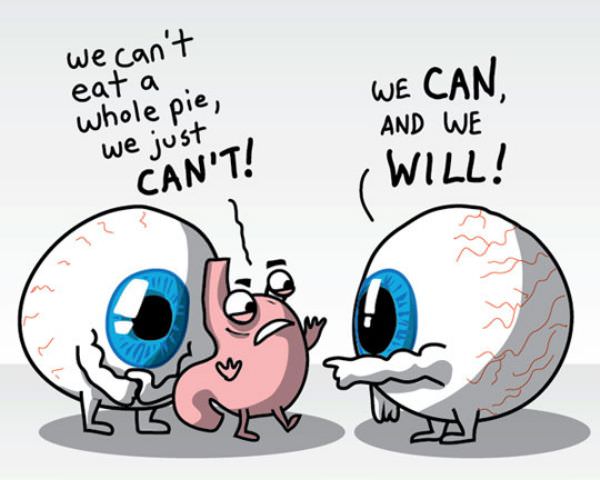 Funny War Over Pie Picture