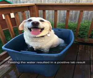 the water test resulted in a positive lab result