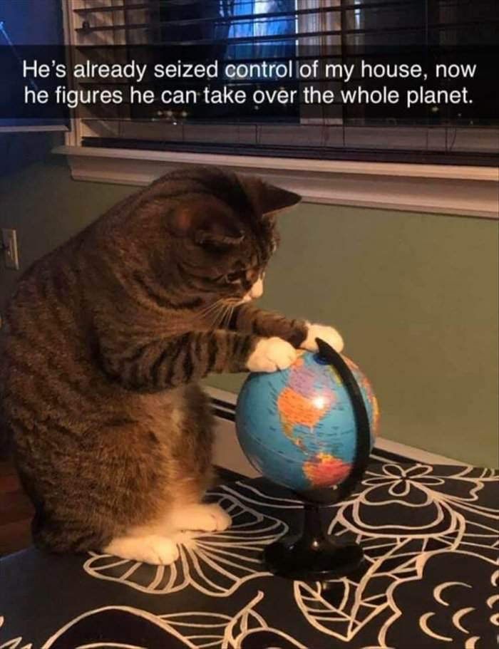 the whole planet