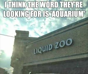 the word they are looking for