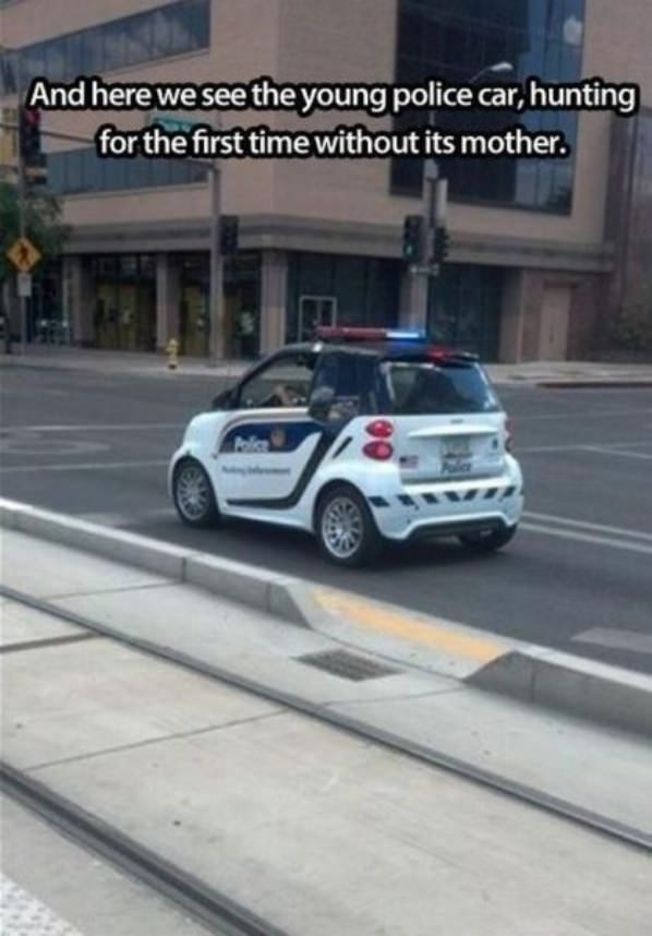 Young Police Car funny picture