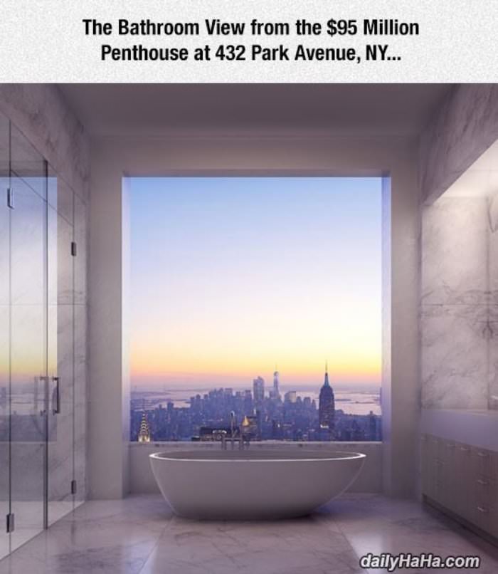 the bathroom view funny picture