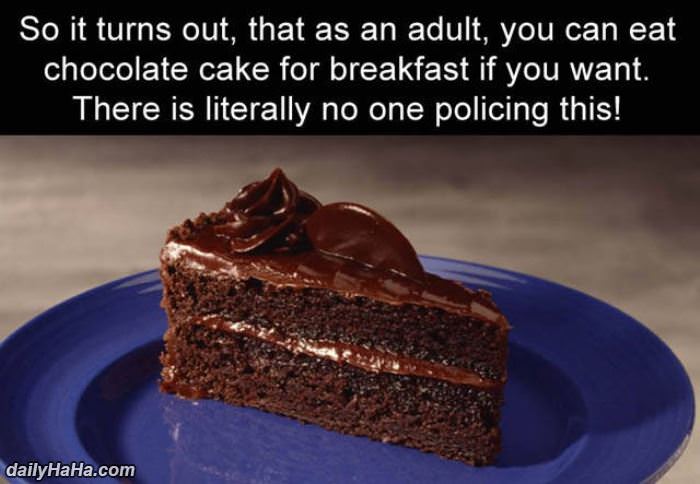 the benefits of being an adult funny picture