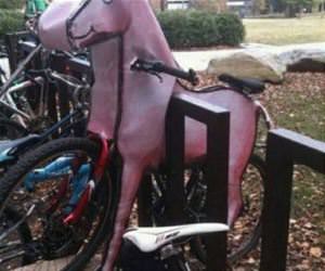 the best bike ever made funny picture