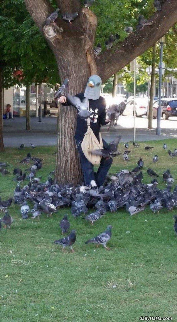 the bird man funny picture