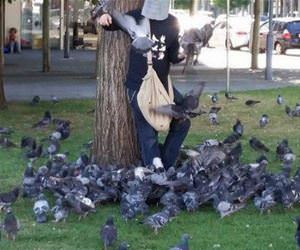 the bird man funny picture