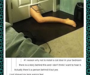 the cat door funny picture