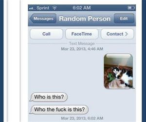 the dog guy funny picture