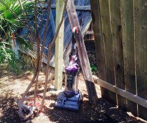 the dog stayed funny picture