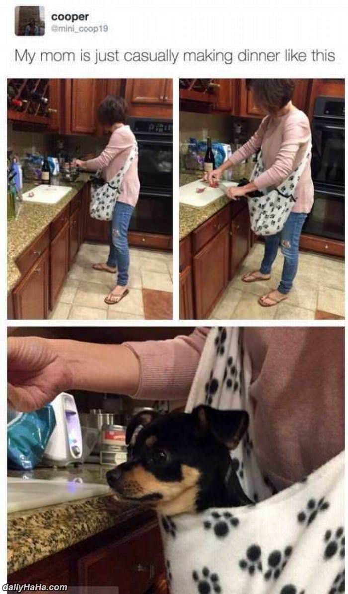 the dog wants to help funny picture