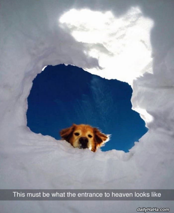 the entrance to heaven funny picture