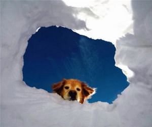 the entrance to heaven funny picture