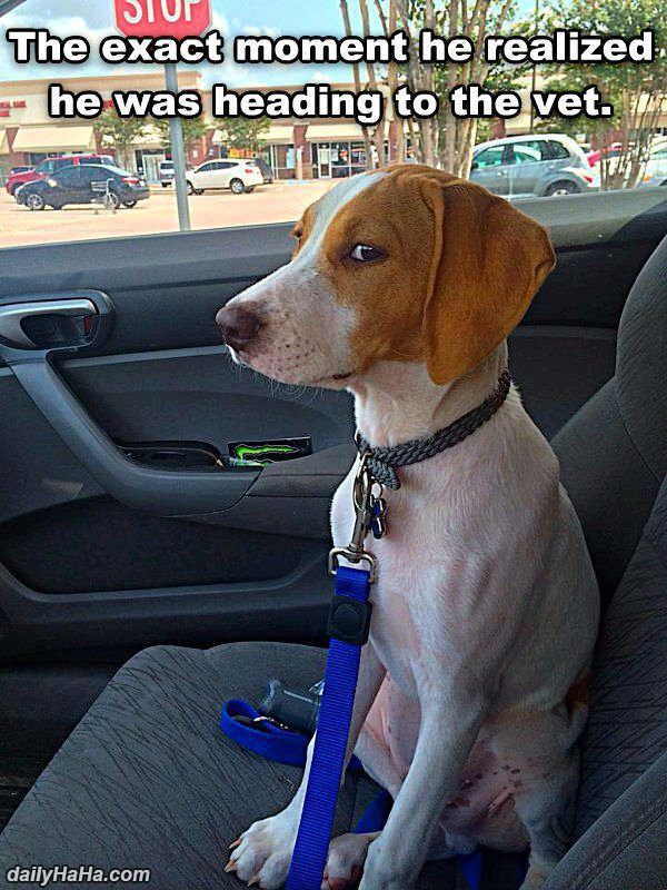 the exact moment funny picture