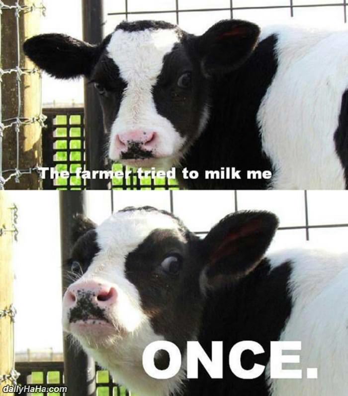 the farmer tried once funny picture